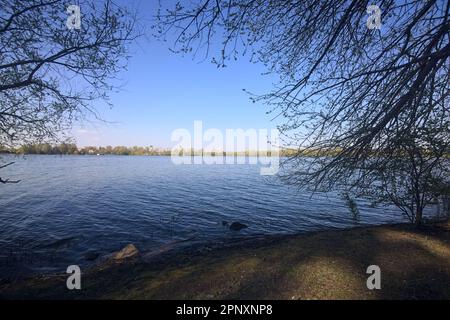 Bäume am Seeufer bei Sonnenuntergang, die einen Industriekomplex an der gegenüberliegenden Küste in der Ferne umrahmen Stockfoto