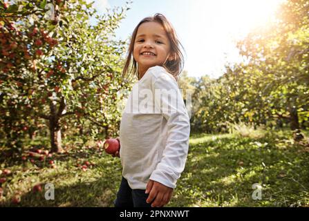 Ich habe es selbst gepflückt. Portrait eines bezaubernden kleinen Mädchens, das Spaß in einem Apfelgarten hat. Stockfoto