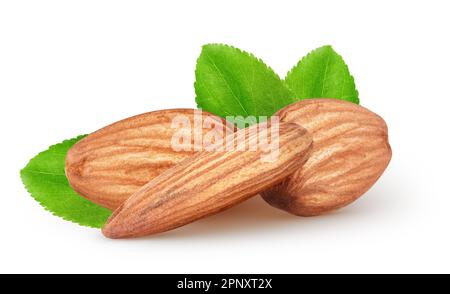 Isolierte Mandeln. Ein Haufen Mandeln mit Blättern, isoliert auf weißem Hintergrund und Schnittpfad Stockfoto
