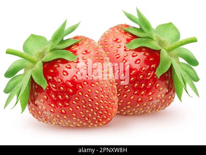 Isolierte Erdbeeren. Zwei ganze Erdbeeren, isoliert auf weißem Hintergrund mit Schnittpfad Stockfoto
