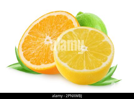 Zitrusfrüchte. Orange, Zitrone, Limette isoliert auf weißem Hintergrund Stockfoto
