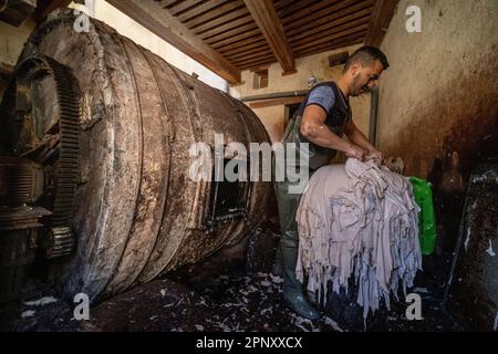 Ein Arbeiter in den Gerbereien von Fez, der die Häute während des Bräunungsvorgangs bearbeitet. Stockfoto