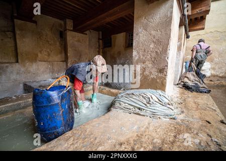 Arbeiter in den Gerbereien von Fès, der in einem Becken Haut zum Bräunen handhabt. Stockfoto
