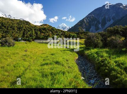 Wanderung im Mount Aoraki/Cook National Park in Neuseeland auf der Südinsel im Sommer. Das ist der Anfang des Wandernests zum Parkplatz. Stockfoto