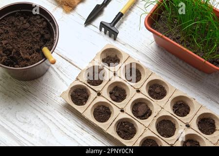 Gärtner, der Blumen pflanzt. Weibliche Hände, die mit Erde arbeiten, natürliche kleine Töpfe. Fertilität. Fürsorgliche Hauspflanzen. Draufsicht. Person, die Saatgut in Germin aussät Stockfoto