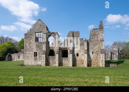 Netley Abbey, Hampshire, England, Großbritannien, Blick auf das historische Wahrzeichen im April oder Frühling an einem sonnigen Tag mit blauem Himmel Stockfoto