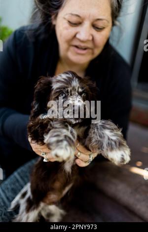Eine Frau, die das Hündchen in San Diego hält Stockfoto