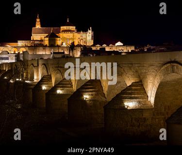 Panoramablick auf die römische Brücke und Moschee von Cordoba bei Nacht Stockfoto