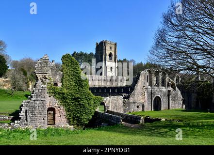 Die Infirmary Bridge überquert den Fluss Skell auf dem Gelände der Ruinen von Fountains Abbey. Stockfoto