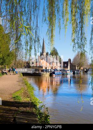 Blick unter einer Weide auf die Themse in Abingdon an einem schönen Frühlingsmorgen. Wir sind am Nordufer des Flusses, schauen flussabwärts Richtung S Stockfoto