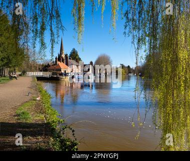 Blick unter einer Weide auf die Themse in Abingdon an einem schönen Frühlingsmorgen. Wir sind am Nordufer des Flusses, schauen flussabwärts Richtung S Stockfoto