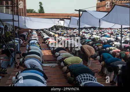 New Delhi, Delhi, Indien. 21. April 2023. Muslimische Anhänger bieten am vergangenen Freitag Gebete des heiligen Fastenmonats des Ramadan in Jama Masjid, in den alten Vierteln von Neu-Delhi, Indien, am 21. April 2023. (Kreditbild: © Kabir Jhangiani/ZUMA Press Wire) NUR REDAKTIONELLE VERWENDUNG! Nicht für den kommerziellen GEBRAUCH! Stockfoto