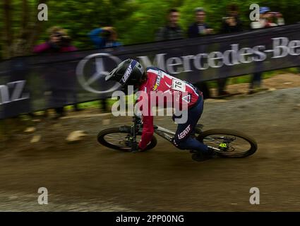 UCI Downhill Fort William (Schottland 2019) Stockfoto