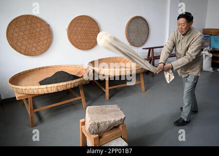 (230421) -- HEFEI, 21. April 2023 (Xinhua) -- Xie Yongzhong, Erbe der Fähigkeiten zur Herstellung von schwarzem Keemun-Tee, verarbeitet Teeblätter im Bezirk Qimen in Huangshan, Provinz Anhui in Ostchina, am 23. März 2023. Keemun Black Tea, der aus dem Qimen County der Provinz Anhui im Osten Chinas stammt, ist einer der berühmtesten chinesischen Tees mit einem intensiven Aroma. Es hat eine Geschichte von mehr als 100 Jahren. Xie Yongzhong, ein 71-jähriger Erbe der Fähigkeiten der Keemun-Teeherstellung, folgte seinen Ältesten, um in den Bergen Teeblätter zu pflücken und lernte die grundlegenden Fähigkeiten der Teezubereitung seit seiner Kindheit. Ich bin V Stockfoto