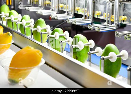 Produktionslinie für automatische Mangoschälmaschinen an Maschinen im Werk Stockfoto