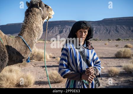 Dromedarhirte in der Wüste. Stockfoto