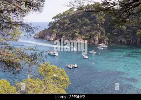 Aigua Blava Bay (Aiguablava), Costa Brava, Katalonien (Spanien) Stockfoto