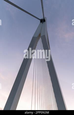 rotterdamer Stadtbild in der Nähe der Erasmus-Brücke. Atemberaubende farbenfrohe Fotos bei Sonnenuntergang. Stockfoto