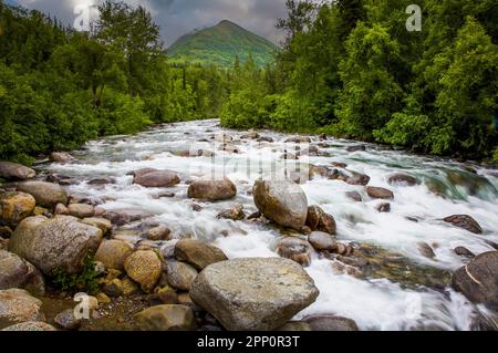 Little Susitna River auf dem Weg zum Hatcher Pass in Alaska, USA Stockfoto