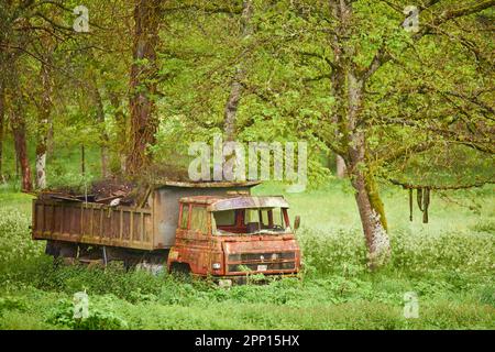 Verlassener Truck im Garten Stockfoto