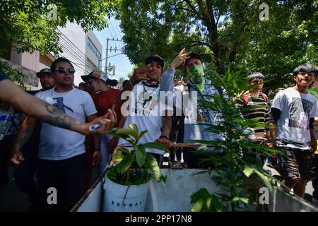 Nicht exklusiv: 20. April 2023 Toluca , Mexiko : Tausende von Jugendlichen und Erwachsenen gingen auf die Straßen der Stadt, wo sie an den 5 teilnahmen Stockfoto