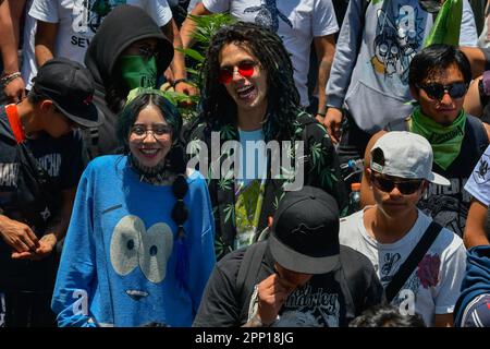 20. April 2023 Toluca, Mexiko: Tausende von jungen Menschen und Erwachsenen gingen auf die Straßen der Stadt, wo sie 5. an dem Cannabisspaziergang zum Gedenken an den Welt-Cannabis-Tag teilnahmen, und forderten seine Legalisierung als Pflanze für Freizeitzwecke. Am 20. April 2023 in Toluca, Mexiko. (Kreditbild: © Arturo Hernandez/Eyepix via ZUMA Press Wire) NUR REDAKTIONELLE VERWENDUNG! Nicht für den kommerziellen GEBRAUCH! Stockfoto