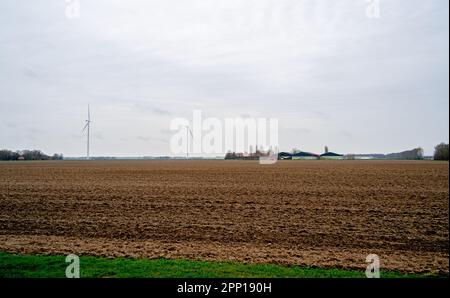 Ländliche Landschaft in der Nähe von Dronten, Niederlande Stockfoto