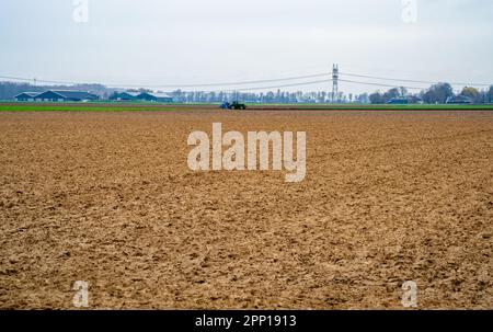 Ländliche Landschaft in der Nähe von Dronten, Niederlande Stockfoto