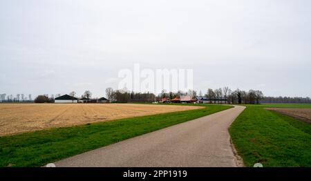 Ländliche Landschaft in der Nähe von Dronten, Niederlande Stockfoto