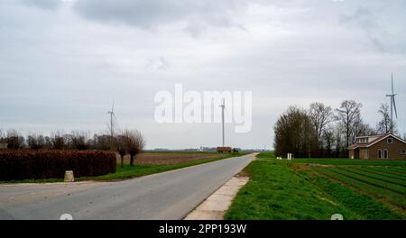 Ländliche Landschaft in der Nähe von Dronten, Niederlande Stockfoto