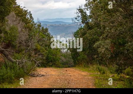 Landschaft des Maremma-Nationalparks in der Toskana, Italien Stockfoto