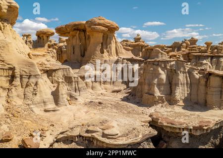 Die Belohnung einer langen Wanderung durch die trockenen Badlands der Bista Badlands in New Mexico sind diese verrückten, einzigartigen geologischen Formationen und versteinertes Holz Stockfoto