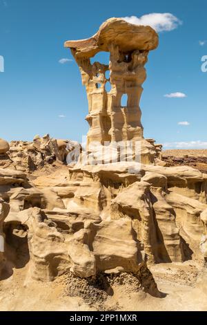 Die Belohnung einer langen Wanderung durch die trockenen Badlands der Bista Badlands in New Mexico sind diese verrückten, einzigartigen geologischen Formationen und versteinertes Holz Stockfoto