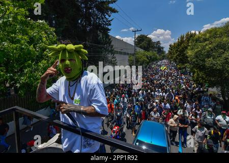 Toluca, Mexiko. 20. April 2023. 20. April 2023 Toluca, Mexiko: Tausende von jungen Menschen und Erwachsenen gingen auf die Straßen der Stadt, wo sie 5. an dem Cannabisspaziergang zum Gedenken an den Welt-Cannabis-Tag teilnahmen, und forderten seine Legalisierung als Pflanze für Freizeitzwecke. Am 20. April 2023 in Toluca, Mexiko. (Foto: Arturo Hernández/Eyepix Group/Sipa USA) Guthaben: SIPA USA/Alamy Live News Stockfoto