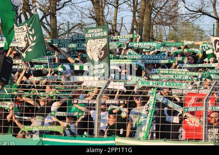 Berlin, Deutschland, 21. April 2023. Chemie-Leipzig-Fans während des Spiels Tennis Borussia Berlin gegen BSG Chemie Leipzig, Regionalliga Nordost, Runde 29. Kredit: Fabideciria. Stockfoto