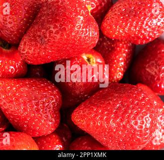 Hintergrund aus frisch geernteten Erdbeeren, direkt oberhalb. Stockfoto