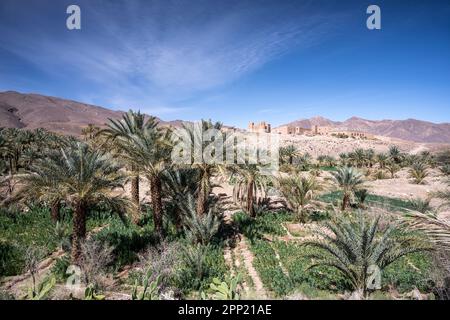Befestigtes Dorf im Draa-Tal. Stockfoto