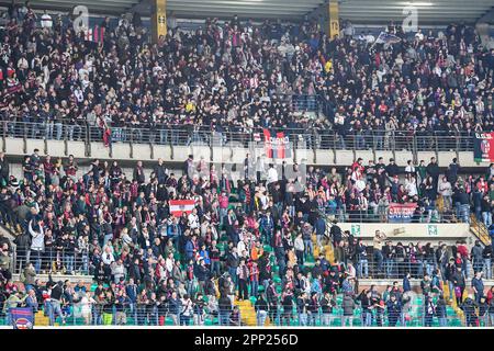 Verona, Italien. 21. April 2023. Marcantonio Bentegodi Stadium, Verona, Italien, 21. April 2023, Fans des Bologna FC während des Spiels Hellas Verona FC gegen Bologna FC – italienische Fußballserie A Credit: Live Media Publishing Group/Alamy Live News Stockfoto