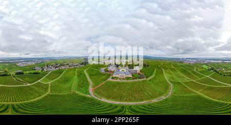 Schloss Johanissberg in Rheingau, Rhein. In Der Nähe Von Wiesbaden, Eltville, Rudesheim. Hessen, Deutschland Stockfoto