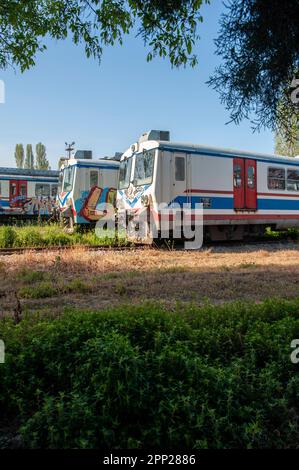 Alte Züge im alten offenen Bahndepot am historischen Bahnhof Haydarpasha aus der osmanischen Zeit in Istanbul Stockfoto