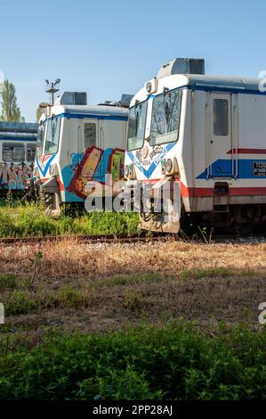 Alte Züge im alten offenen Bahndepot am historischen Bahnhof Haydarpasha aus der osmanischen Zeit in Istanbul Stockfoto