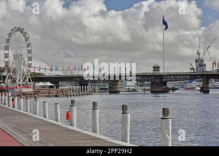 603 die Pyrmont Bridge mit Radfahrern und Fußgängern über die Cockle Bay mit dem Darling Harbour Riesenrad auf der linken Seite. Sydney-Australien. Stockfoto