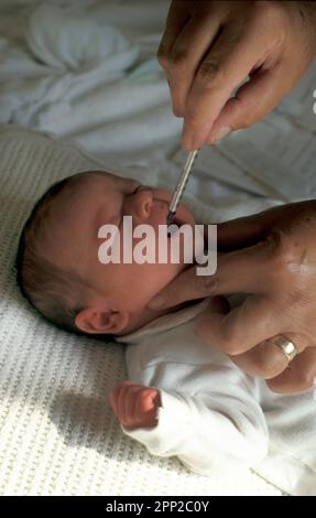 Hebamme oder Krankenschwester, die dem Neugeborenen orale Vitamin-K-Gabe verabreicht Stockfoto