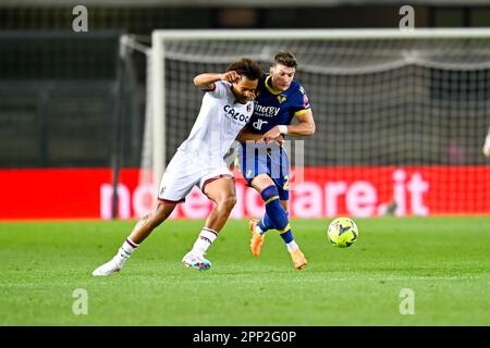 Verona, Italien. 21. April 2023. Marcantonio Bentegodi Stadium, Verona, Italien, 21. April 2023, Bruno Amione von Hellas Verona und Joshua Zirkzee von Bologna in Aktion während des Hellas Verona FC vs Bologna FC – italienische Fußballserie A-Match Credit: Live Media Publishing Group/Alamy Live News Stockfoto