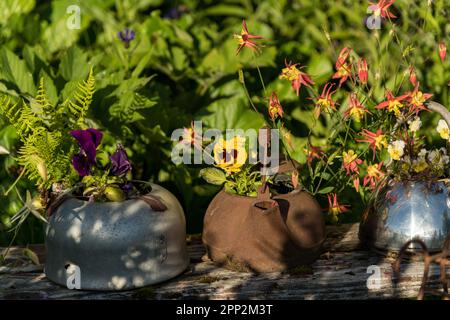 Blumen wachsen aus improvisierten Behältern aus alten Teekesseln entlang der Promenade in Seldovia, Alaska. Die isolierte Gemeinde entlang der Kachemak Bay kann nur mit der Fähre oder dem Flugzeug erreicht werden. Stockfoto