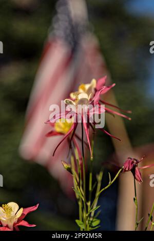 Rote Säulenblumen mit amerikanischer Flagge im Hintergrund entlang der Promenade in Seldovia, Alaska. Die isolierte Gemeinde entlang der Kachemak Bay kann nur mit der Fähre oder dem Flugzeug erreicht werden. Stockfoto