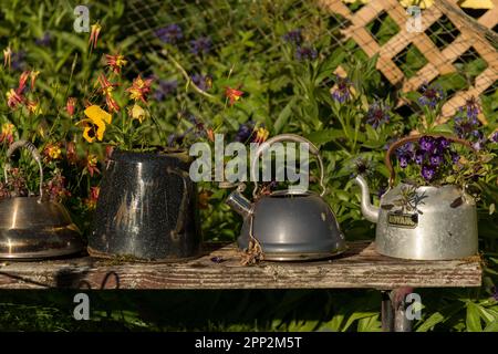 Blumen wachsen aus improvisierten Behältern aus alten Teekesseln entlang der Promenade in Seldovia, Alaska. Die isolierte Gemeinde entlang der Kachemak Bay kann nur mit der Fähre oder dem Flugzeug erreicht werden. Stockfoto