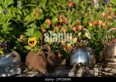 Blumen wachsen aus improvisierten Behältern aus alten Teekesseln entlang der Promenade in Seldovia, Alaska. Die isolierte Gemeinde entlang der Kachemak Bay kann nur mit der Fähre oder dem Flugzeug erreicht werden. Stockfoto