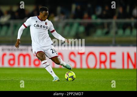 Verona, Italien. 21. April 2023. Aufnahme von Bolognas Lukasz Skorupski während des Spiels Hellas Verona FC gegen Bologna FC, italienischer Fußball Serie A in Verona, Italien, April 21 2023 Kredit: Independent Photo Agency/Alamy Live News Stockfoto