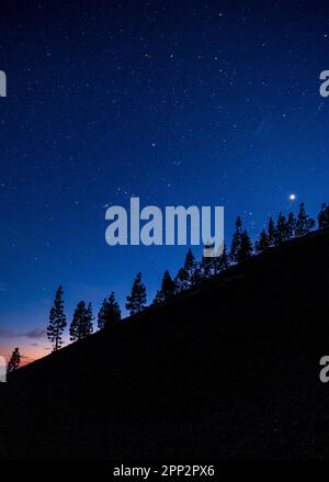 Sterne am Hang des Montaña Samara, Teide National Park, Teneriffa, Kanarische Inseln, Spanien Stockfoto